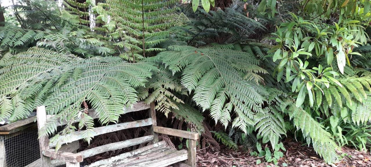 Earthsounds Country Cottage Taumarunui Exterior photo